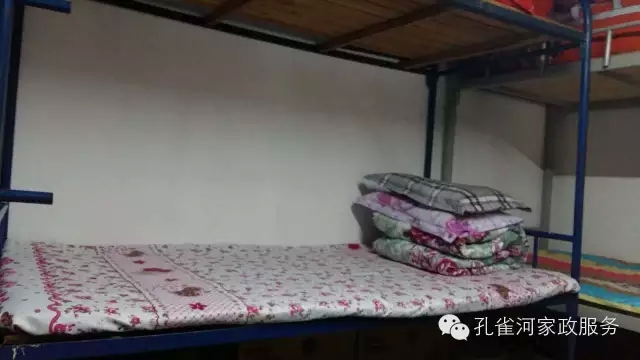 ��ȸ�Ӽ�����ķ������ů��ů��������