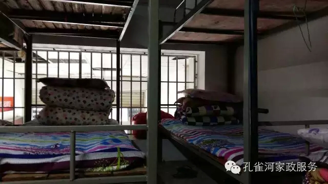 ��ȸ�Ӽ�����ķ������ů��ů��������