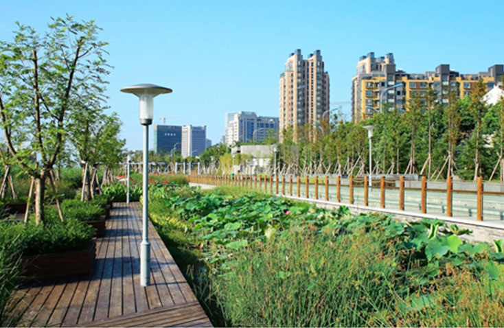 前河路園林景觀綠化工程 前河路園林景觀綠化工程