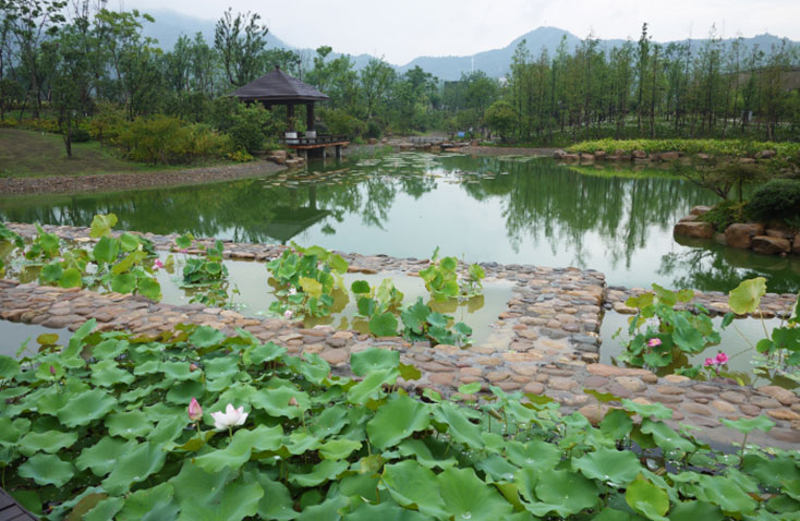 桐廬濱江景觀工程 桐廬濱江景觀工程