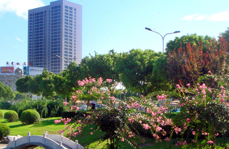 天童北路河濱帶 天童北路河濱帶